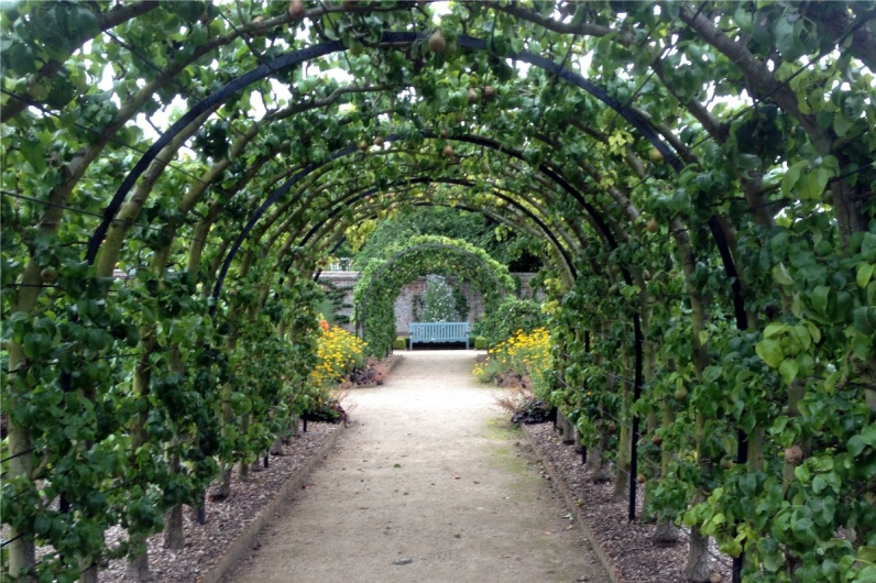 This beautiful arched tunnel is lined with trained pear trees